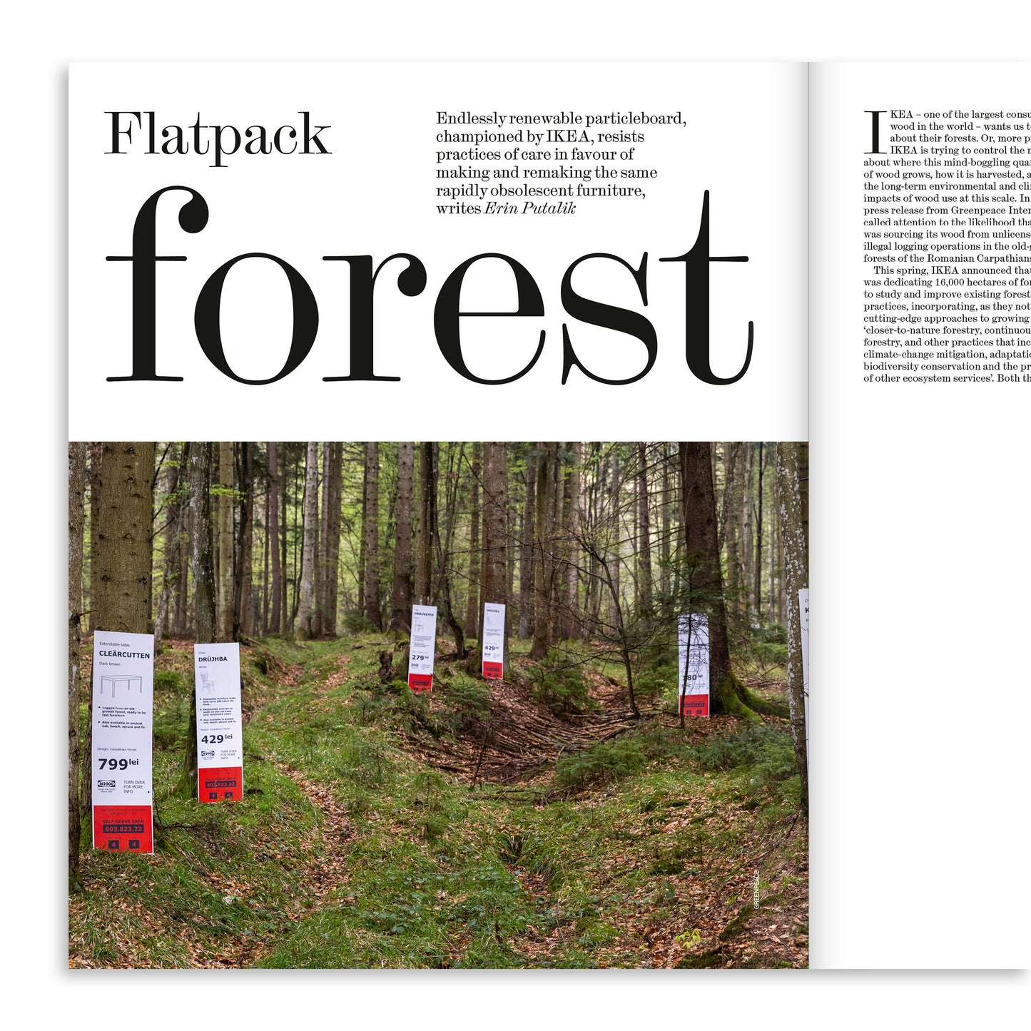 Forest: The Architectural Review 1524, September 2025