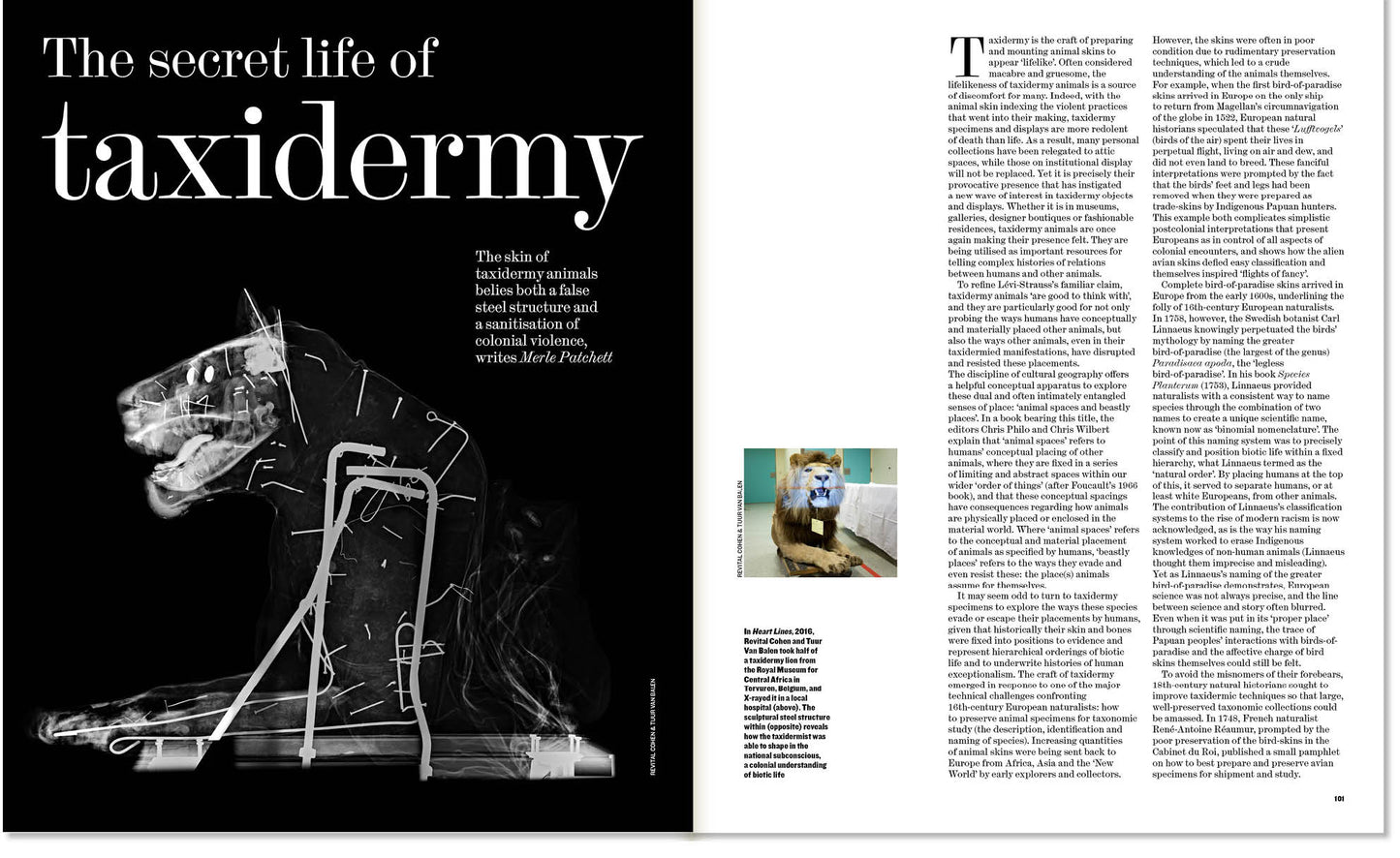 Animals: The Architectural Review Issue 1488, February 2022