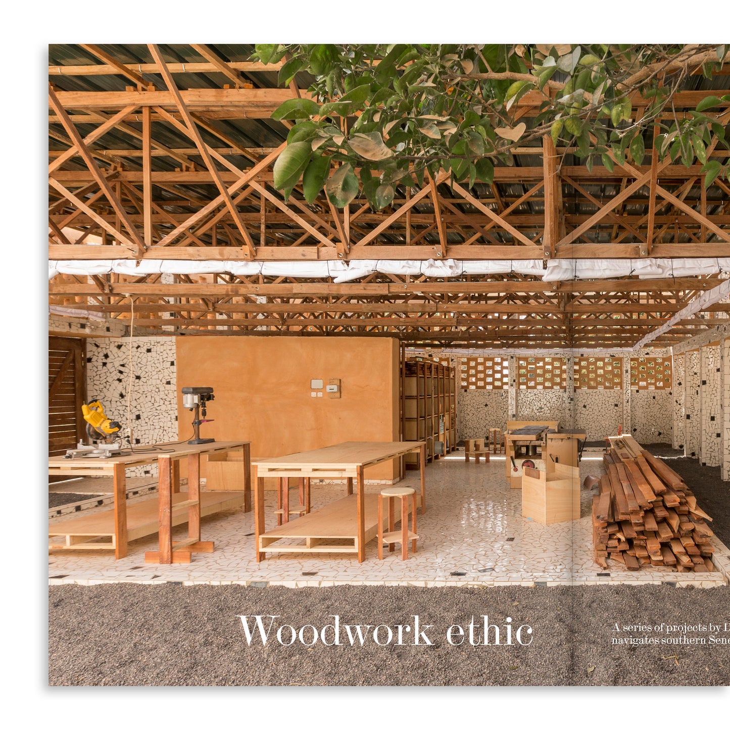 Forest: The Architectural Review 1524, September 2025