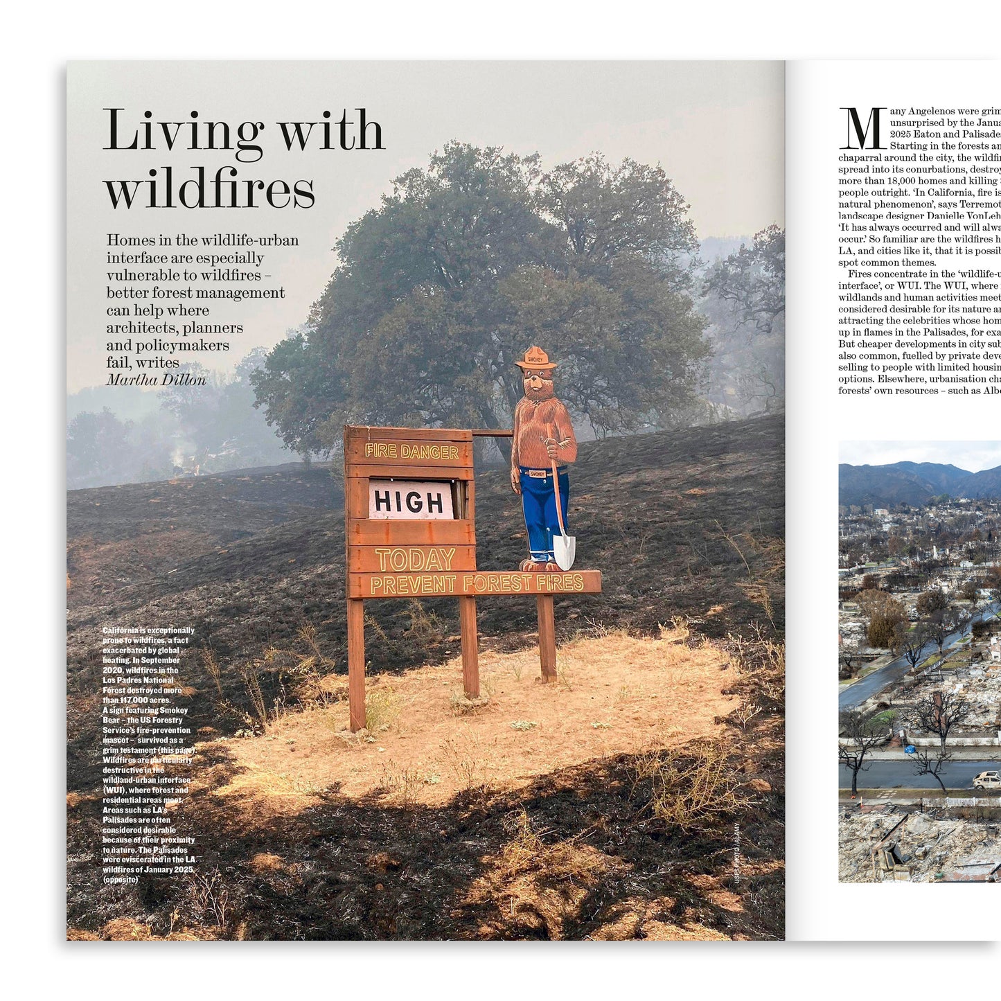 Forest: The Architectural Review 1524, September 2025