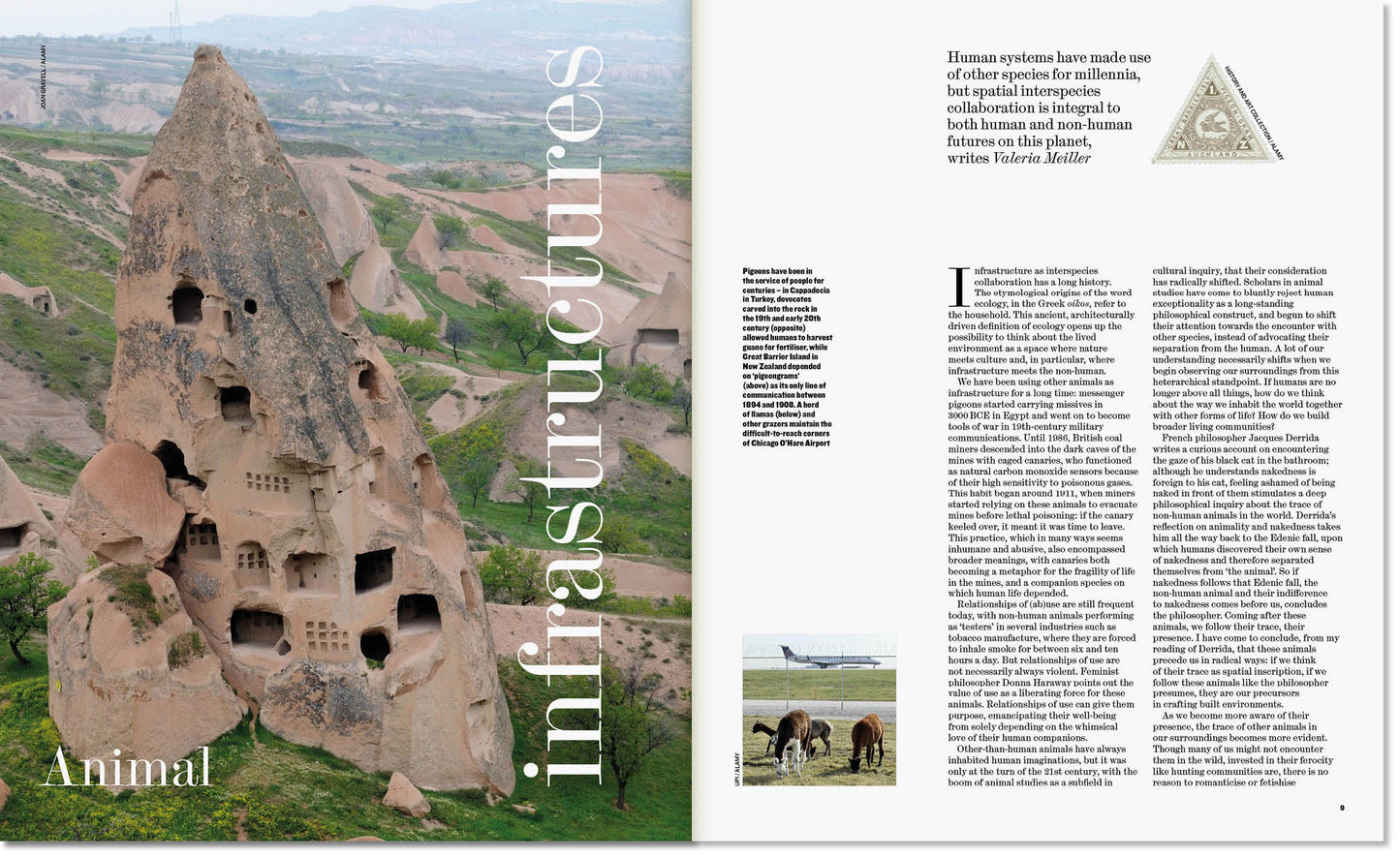 Animals: The Architectural Review Issue 1488, February 2022