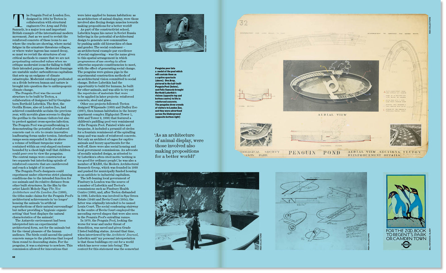 Animals: The Architectural Review Issue 1488, February 2022